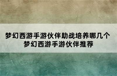 梦幻西游手游伙伴助战培养哪几个 梦幻西游手游伙伴推荐